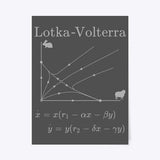 Lotka-Volterra Competitive Model, Poster