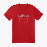 Life is Complex, Premium V-Neck Tee